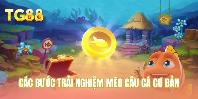 Các bước trải nghiệm Mèo câu cá cơ bản