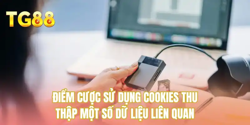 Điểm cược sử dụng Cookies thu thập một số dữ liệu liên quan