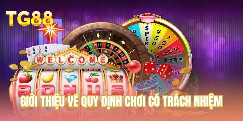Giới thiệu về quy định chơi có trách nhiệm